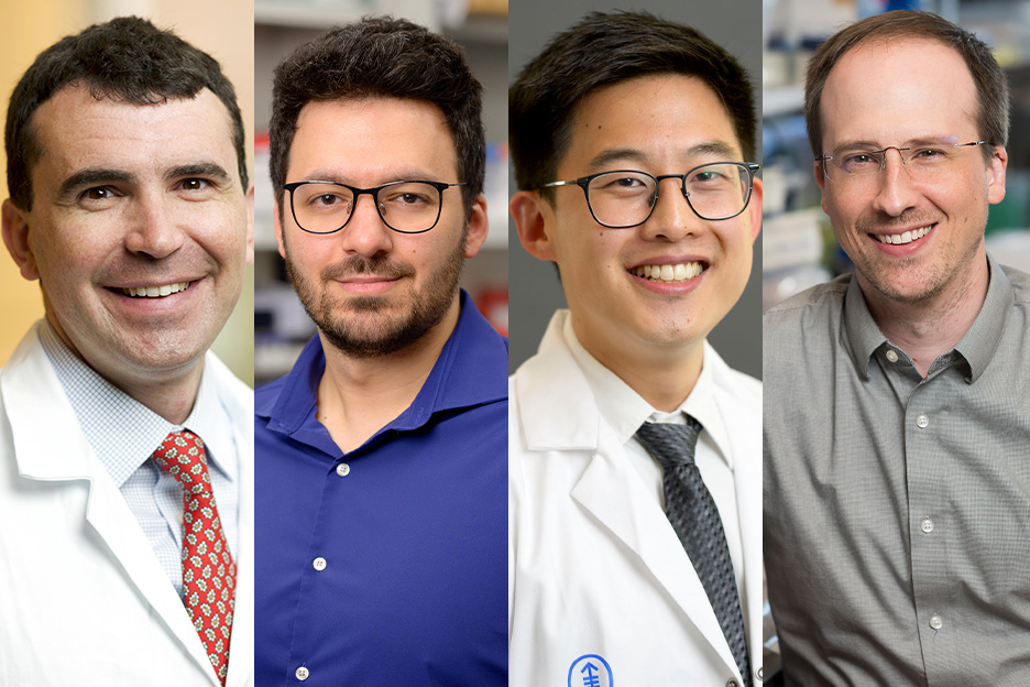 The 2026 Louis V. Gerstner, Jr. Physician Scholars. From left: Dr. Eric Bent, Dr. Ziad El Bakouny, Dr. Daniel Kim, and Dr. Robert Stanley. 