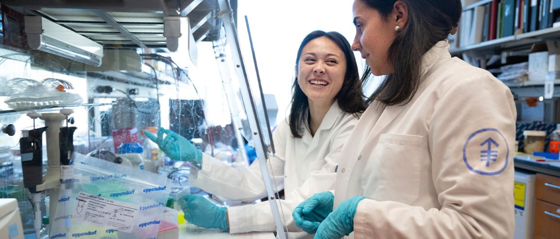 Two MSK scientists in lab coats and gloves working and smiling in a laboratory.